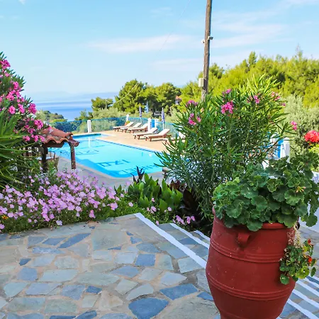 Διαμέρισμα Angelina Platanias (Skiathos)