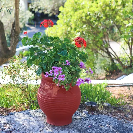 Angelina Apartamento Platanias (Skiathos)