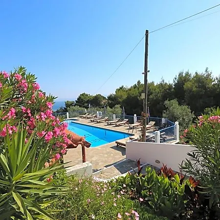Angelina Lejlighed *