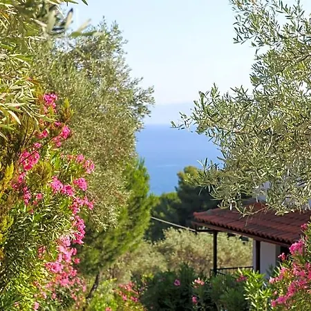 Angelina Platanias (Skiathos)
