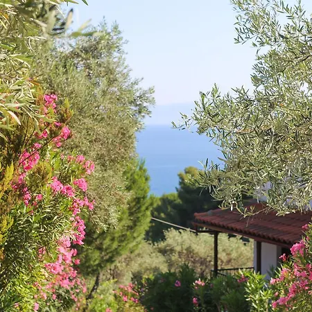 アパート Angelina Platanias (Skiathos)