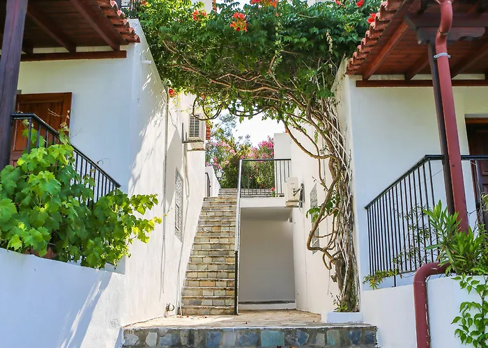 Apartament Angelina Platanias (Skiathos)