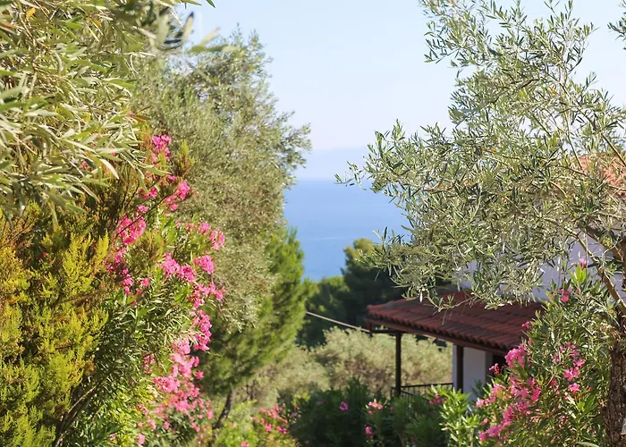 Apartament Angelina Platanias (Skiathos)