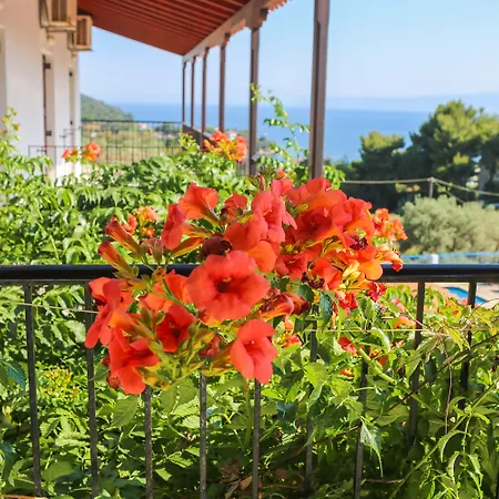 Angelina Platanias (Skiathos)