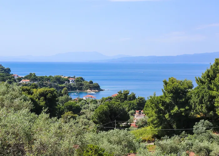 Angelina Apartamento