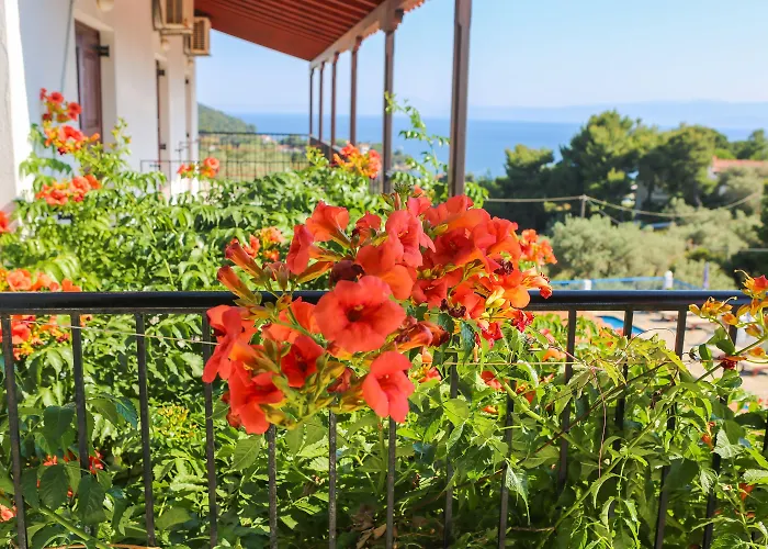 Angelina Platanias (Skiathos)