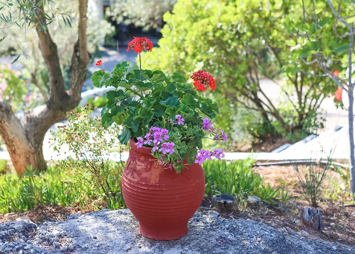 Angelina Apartamento Platanias (Skiathos)